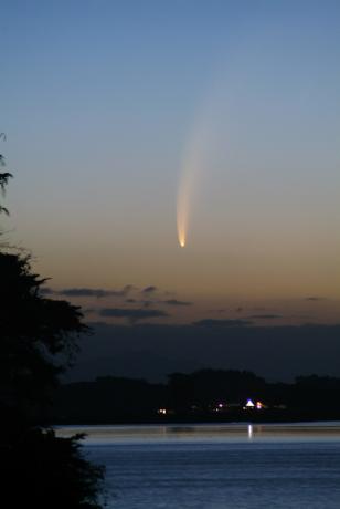 1月17日，新西兰的Noel Munford拍摄到彗星，此时暮光中的彗尾有10°之长。